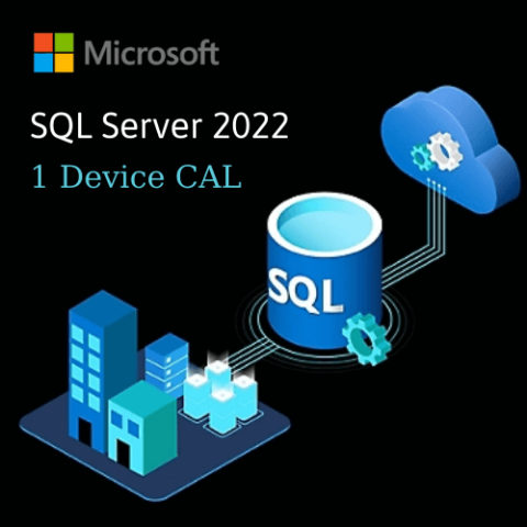 SQL Server 2022 - 1 device CAL - Vietbay