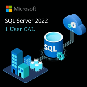 SQL Server 2022 - 1 user CAL