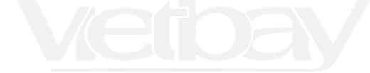 Vietbay Company logo