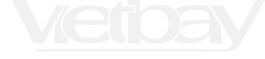 Vietbay Company logo